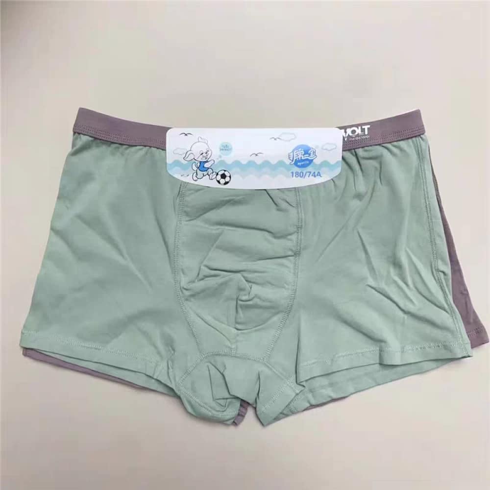 2024 12 29 677176a9bec3e.webp 2024 12 29 677176a9bec3e.webp