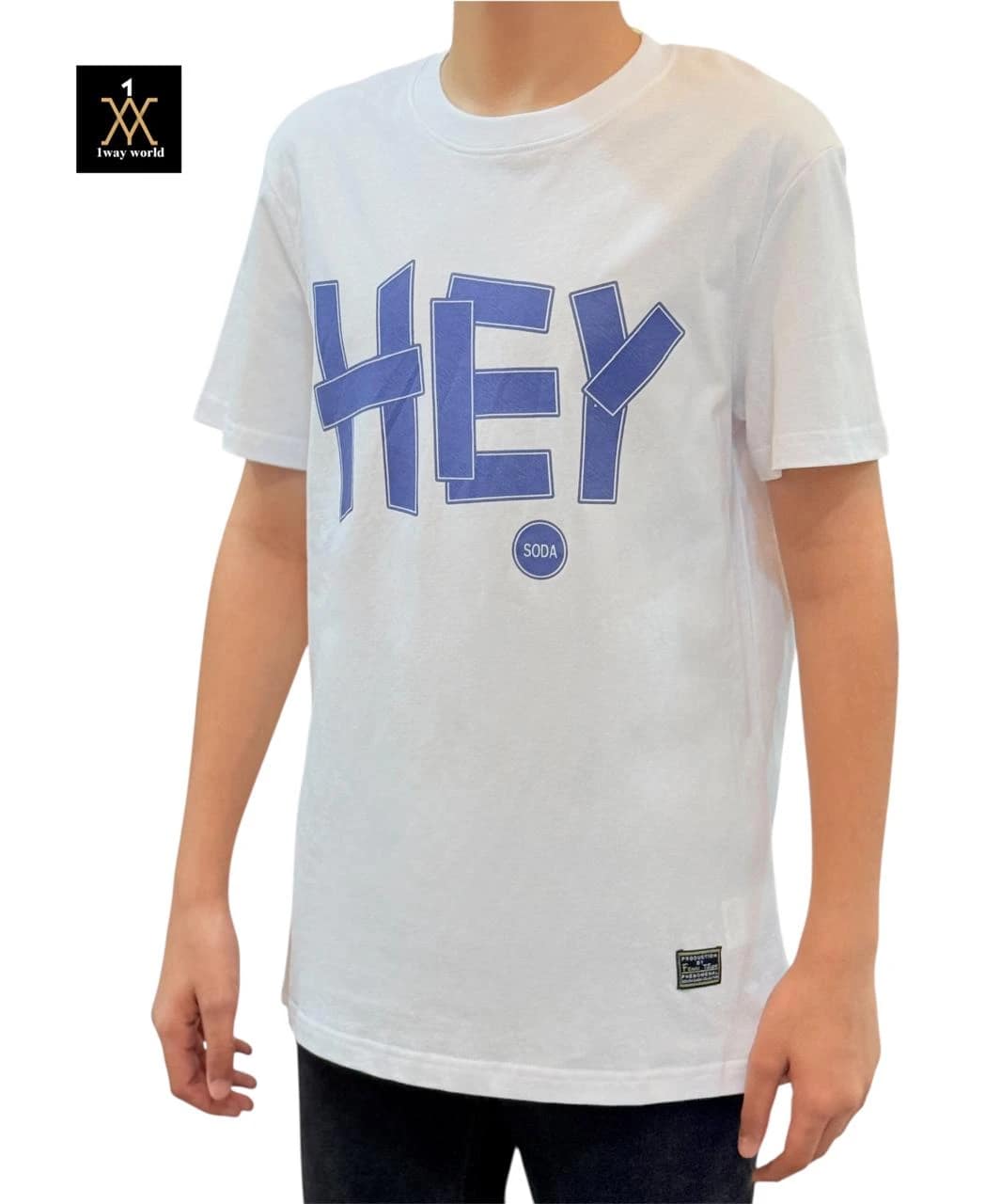 2025 07 18 687ab0b31f614.webp 2025 07 18 687ab0b31f614.webp