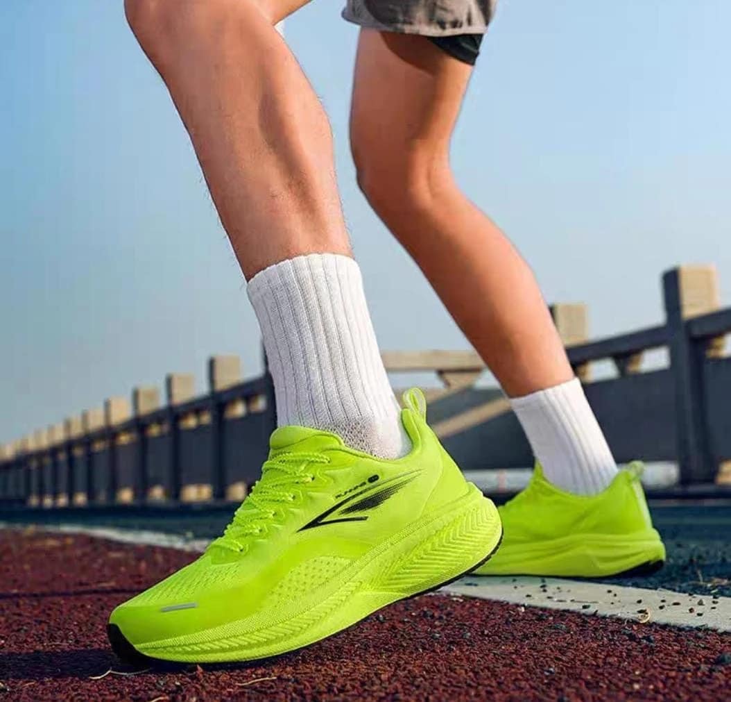 2025 03 20 67dc66f87d026.webp 2025 03 20 67dc66f87d026.webp