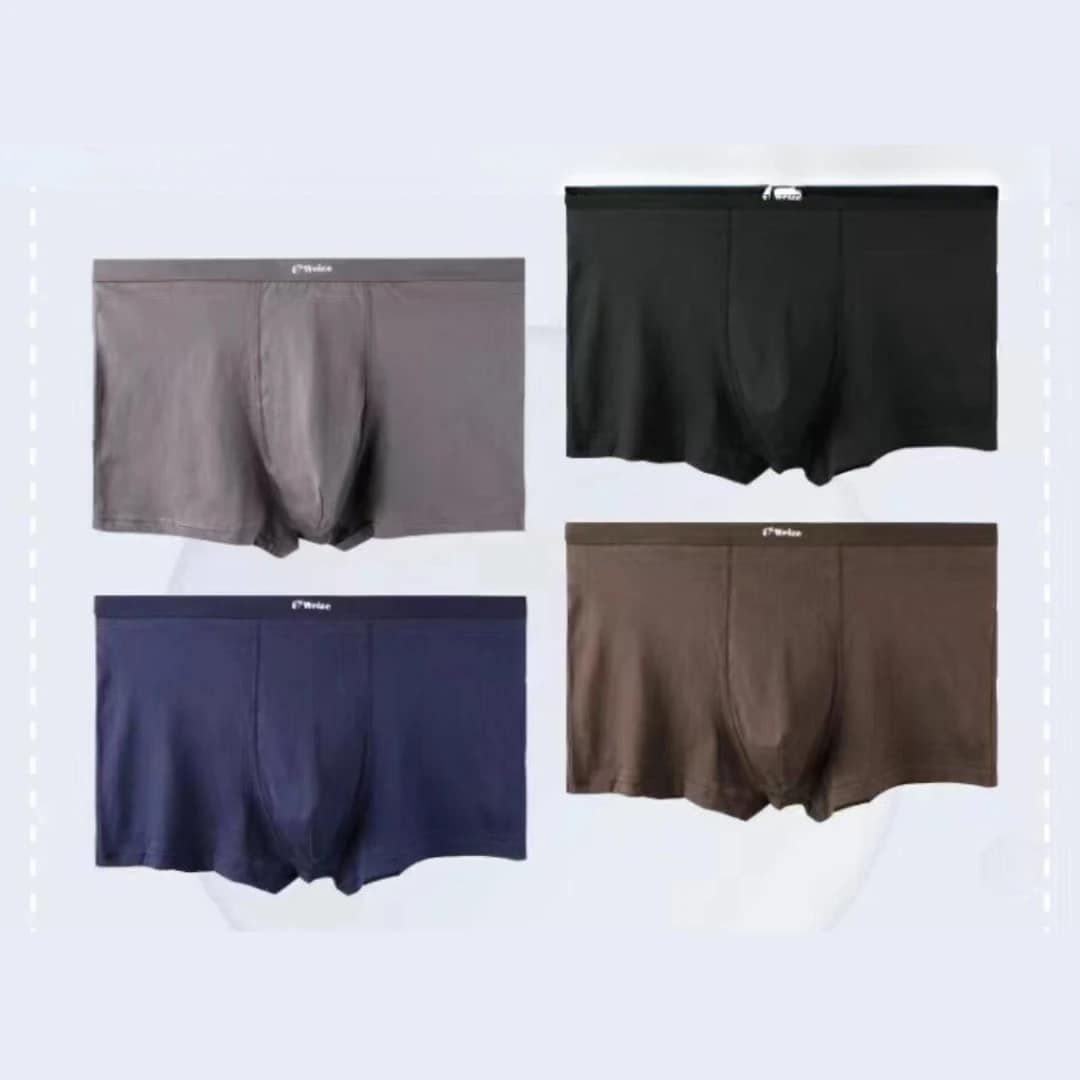 2025 03 06 67c9cf9e94956.webp 2025 03 06 67c9cf9e94956.webp