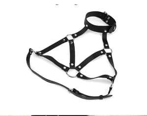 2025 03 04 67c72bdb856d6.webp