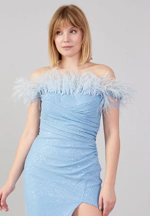 2025 02 17 67b314151d958.webp