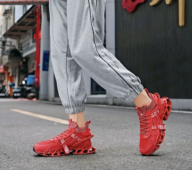 2024 12 17 67617dd5bf1a9.webp 2024 12 17 67617dd5bf1a9.webp